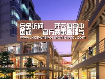 案例展示一(图1)