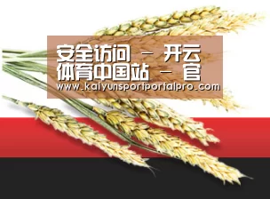 安全访问 - 开云体育中国站 - 官方赛事直播与数据中心