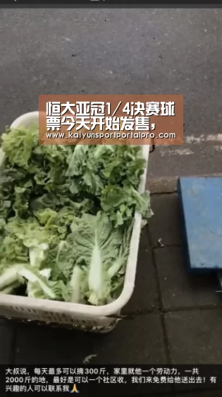 恒大亚冠1/4决赛球票今天开始发售,最低票价100元|开云体育首页(图3) KAIYUN入口