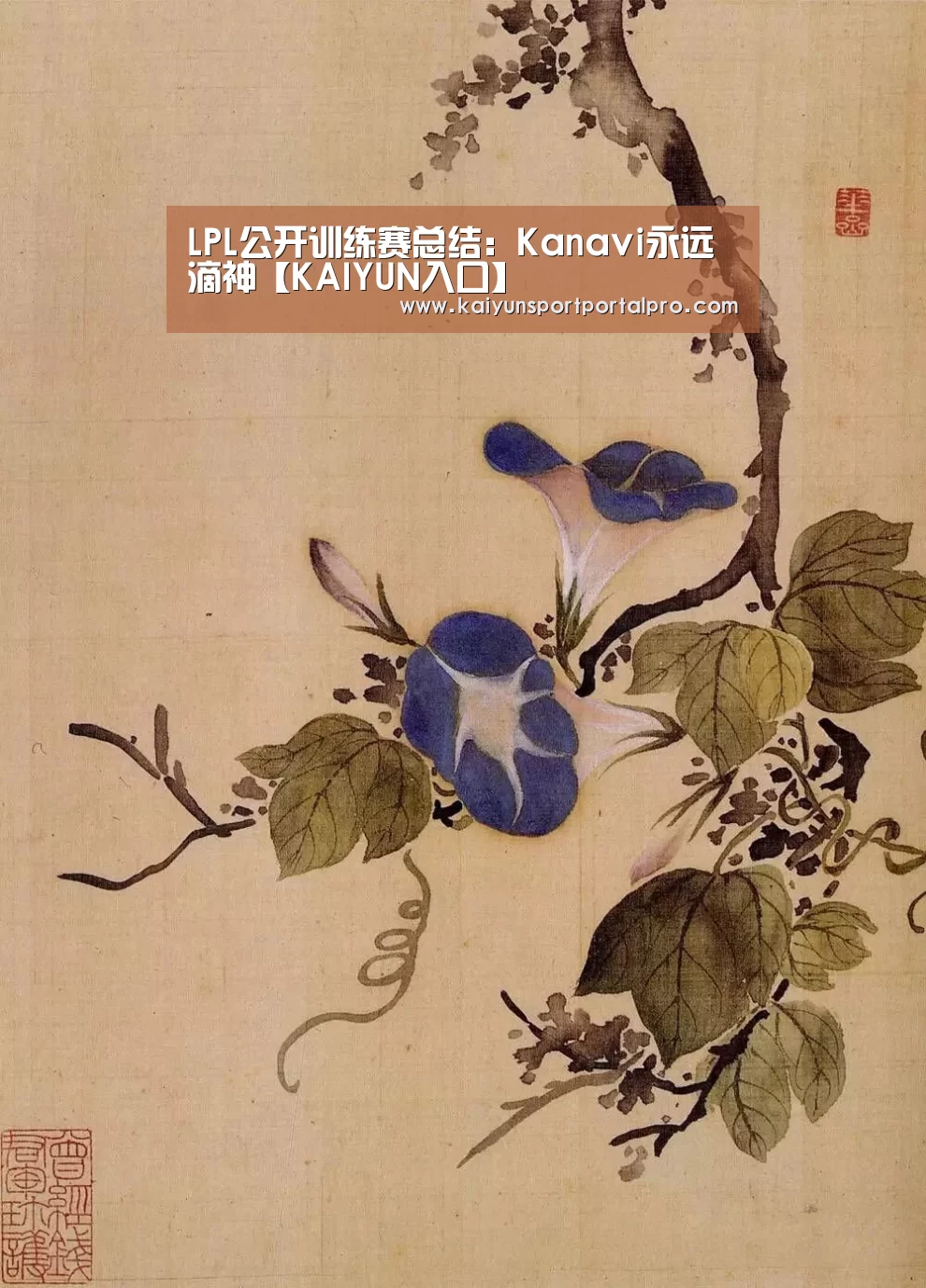 开云体育官网